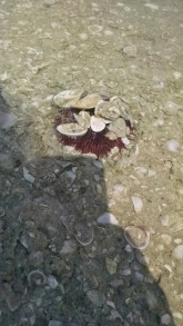 IMG_20150319_145539741