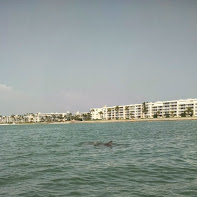 IMG_20150319_154409878