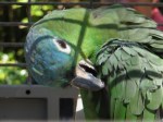 IMG_4925